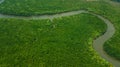 Aerial view landscape of Tree or forest , Krabi Thailand